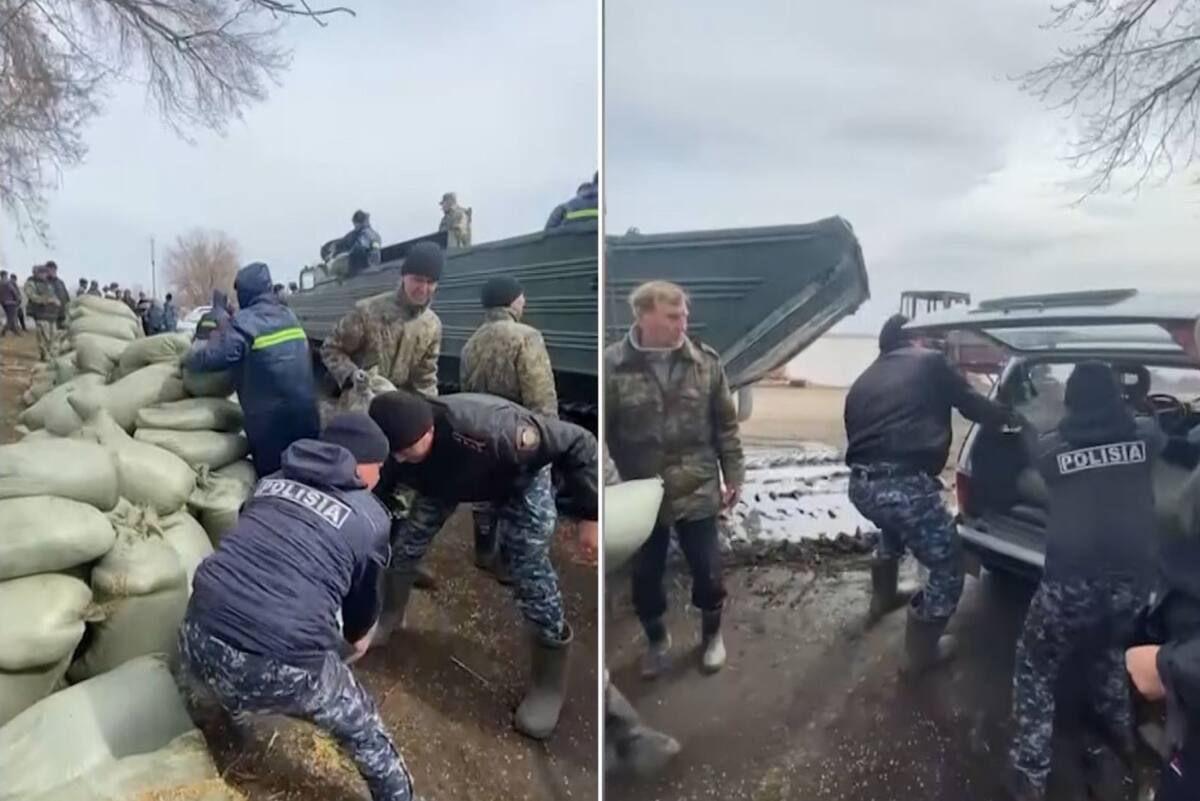 В СКО полиция и спасатели помогают жителям и животным села, превратившегося  в остров - SocialMedia