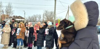 Мирный митинг против жестокого обращения с животными прошел в Петропавловске