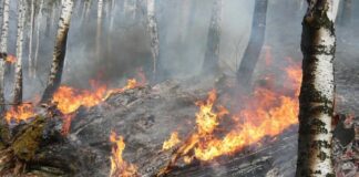 Систему раннего обнаружения пожаров применяют в СКО