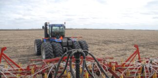 Аграриям СКО предстоит засеять 4,4 миллиона гектаров земли