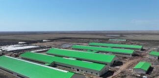 Район им. Габита Мусрепова в СКО наращивает объёмы производства молока