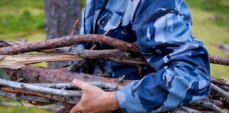 Североказахстанцам рассказали, сколько нужно заплатить за сбор валежника в гослесфонде