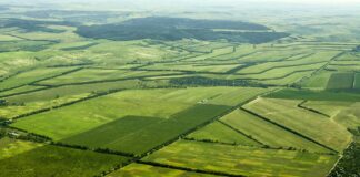 30 тысяч гектаров неиспользуемых земель возвращены государству в СКО