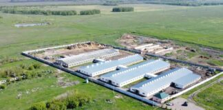 Развитие молочного комплекса в селе Полудино СКО укрепляет агросектор и создаёт рабочие места