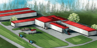 В СКО запустят производство кормов из люцерны