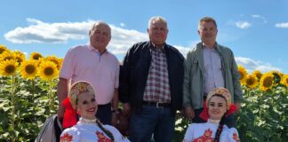 День поля «Ұлы дала астығы – 2025» прошёл в Мамлютском районе Северо-Казахстанской области